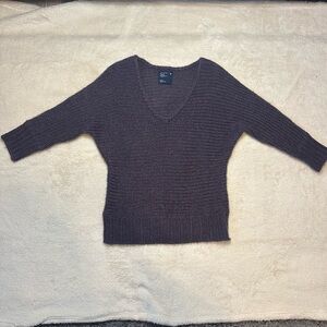 American Eagle Outfitters Deep Purple Sweater